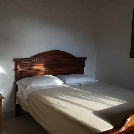 Sergeant Pepper'S Hostel Jardín Extérieur photo