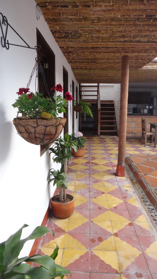 Sergeant Pepper'S Hostel Jardín Extérieur photo