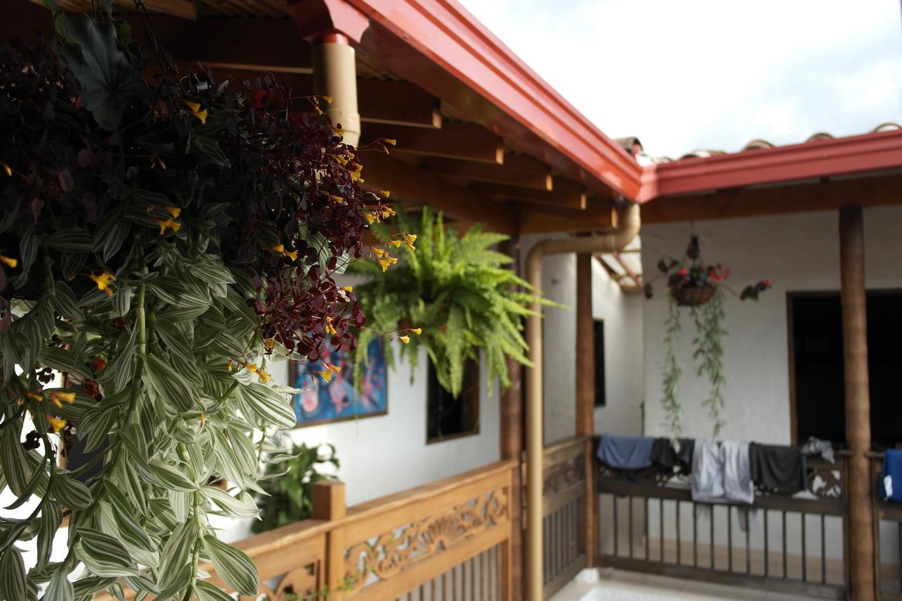 Sergeant Pepper'S Hostel Jardín Extérieur photo